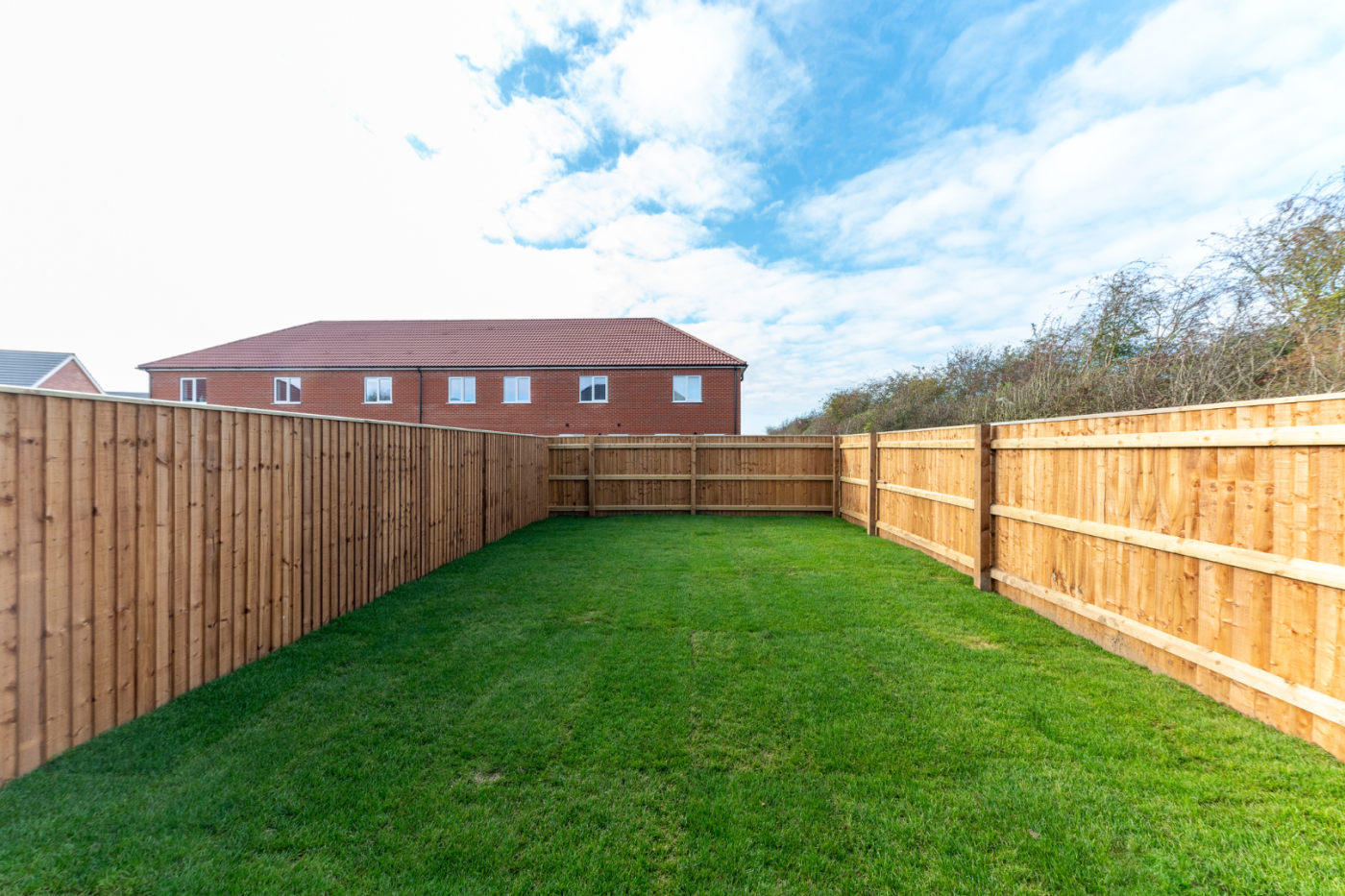 turfed garden with the sun shining