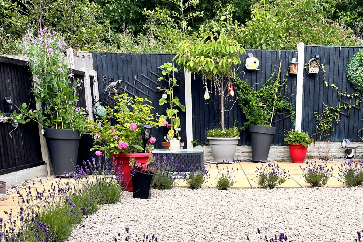Garden with gravel and plants in pots