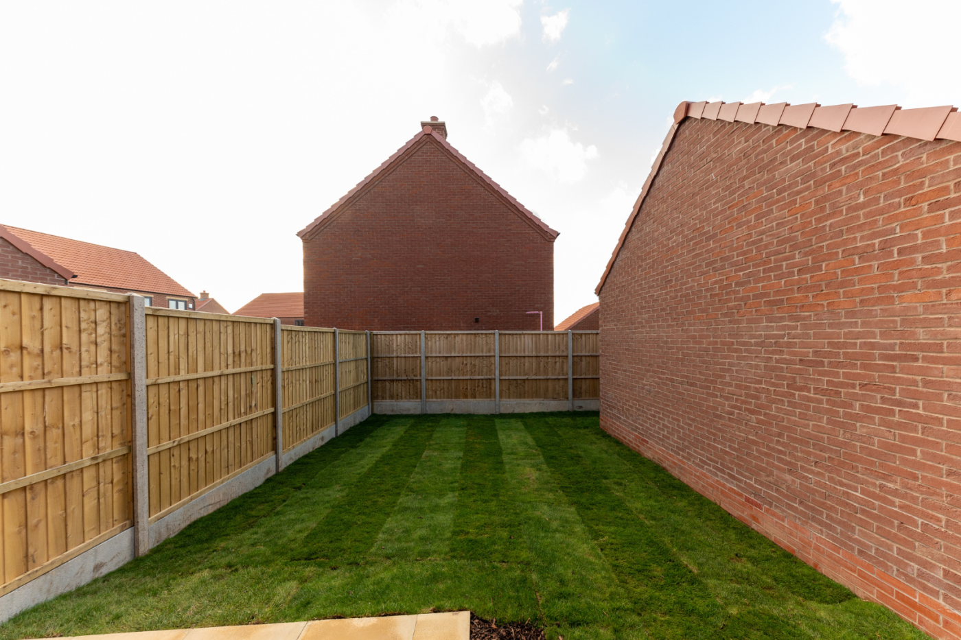 turfed garden with the sun shining