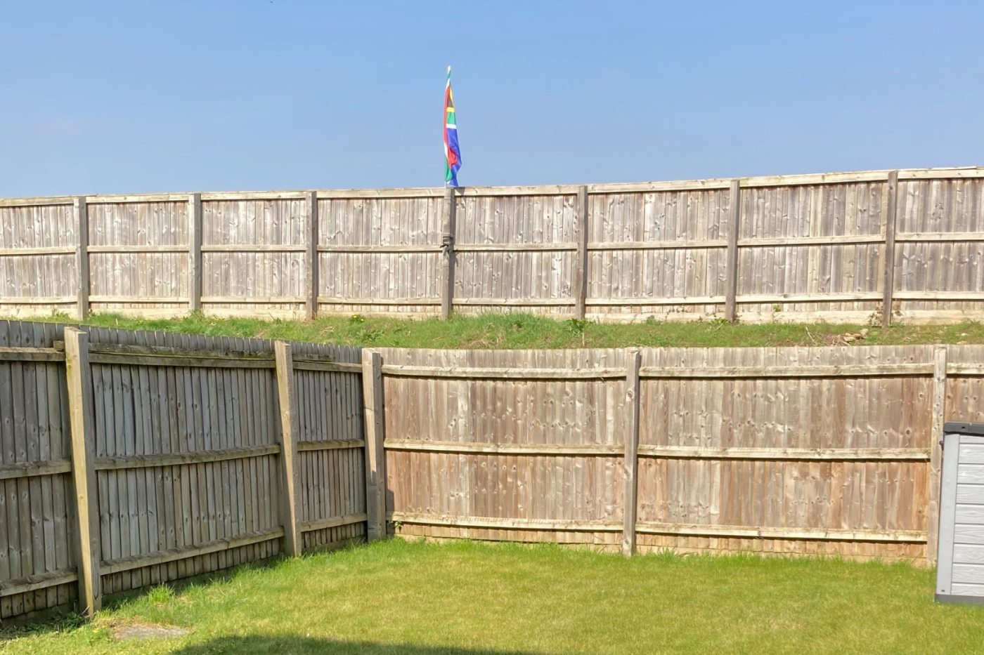 A photo of the back garden showing the grass and fence