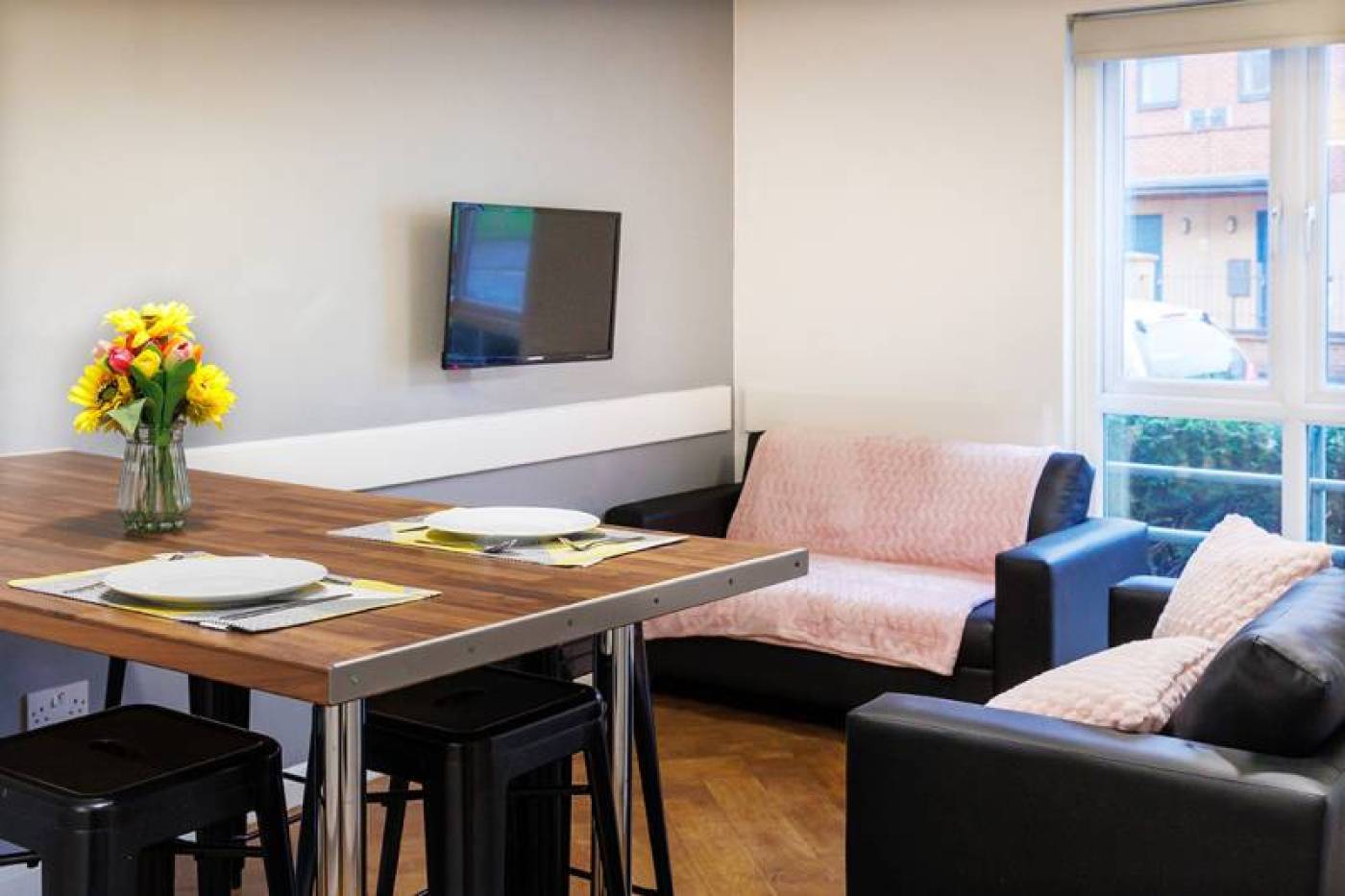 Student living room with flat screen tv