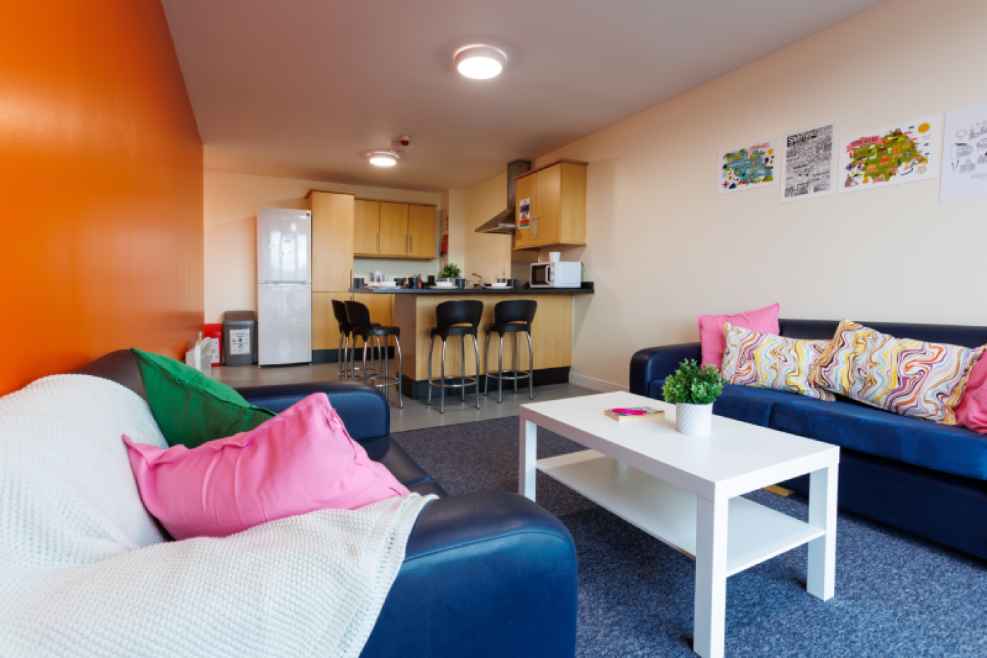 Student living room and kitchen