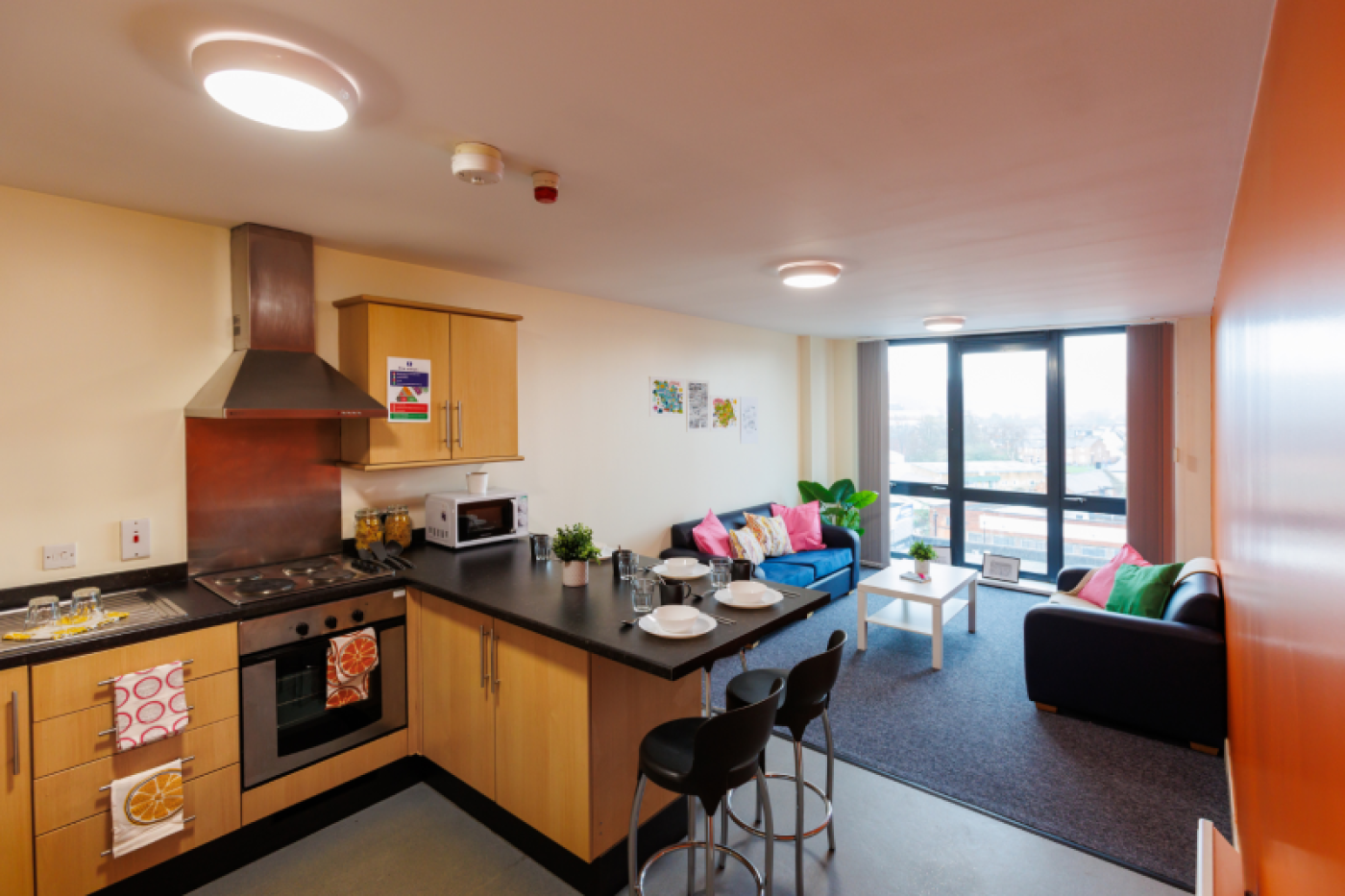 Student living room and kitchen