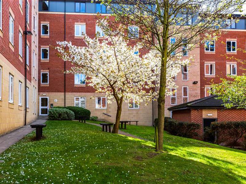 Exterior of Raleigh Park accommodation with blossom tree in the centre