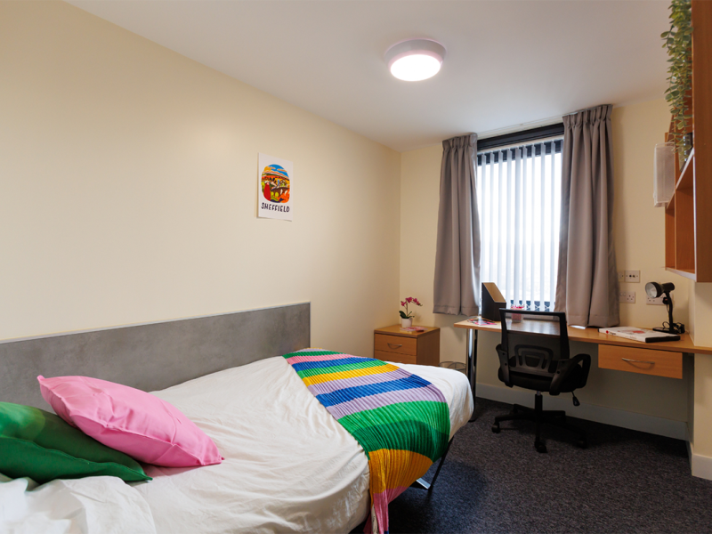 Student room with bed, desk, chair and window