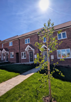 New homes in sunshine