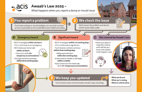 A flow chart that shows the process for damp and mould