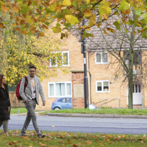 Two people walking through an estate with trees falling.