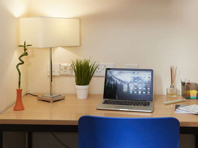 Desk with laptop, plant and lamp