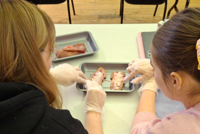 Two learners taking part in a Biology practical as part of the Access to Higher Education Diploma