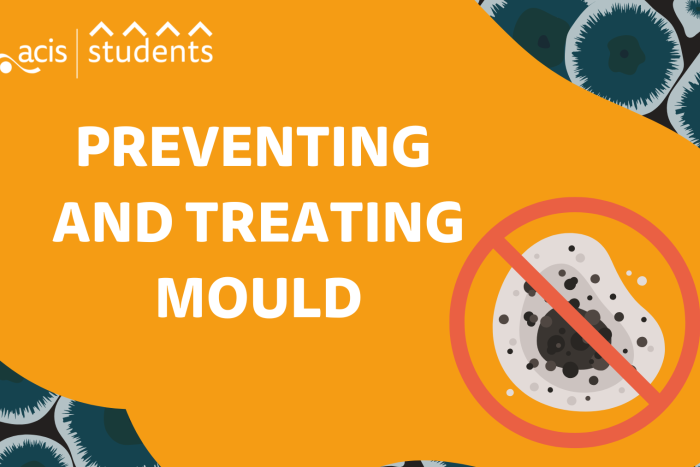 Preventing and treating mould