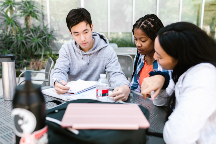 Students sitting around table working