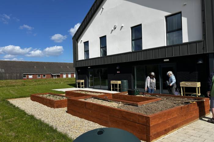 A community garden in the sunshine