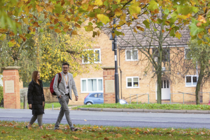 A man and a woman walking through a street with autumnal leaves