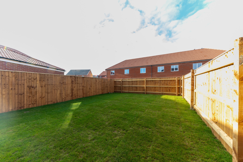 A long turfed garden in the sunshine