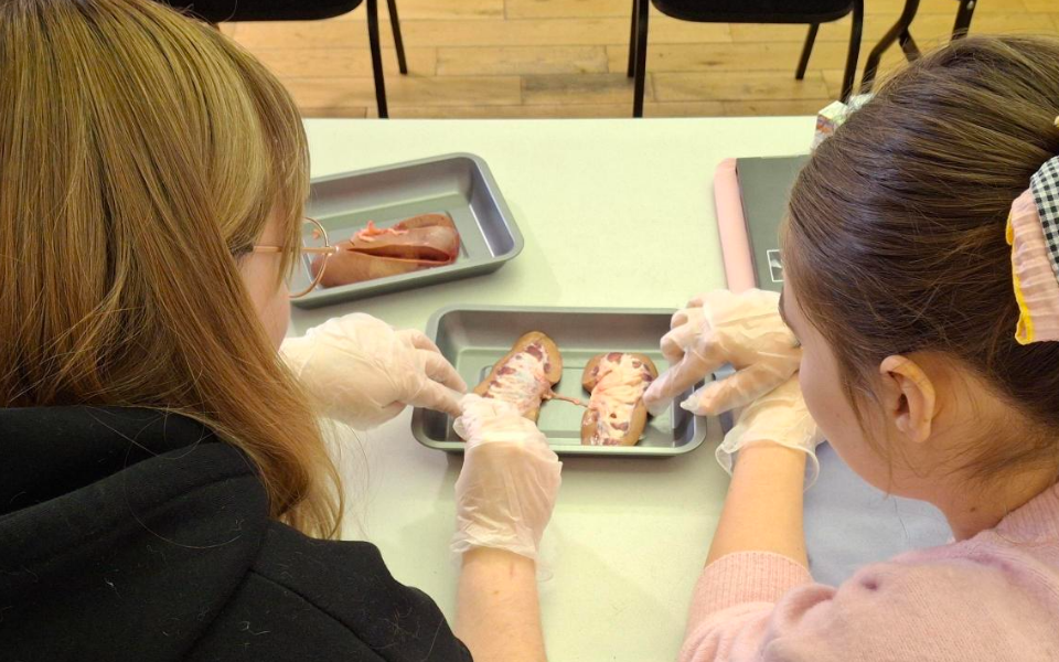 Two learners taking part in a Biology practical as part of the Access to Higher Education Diploma