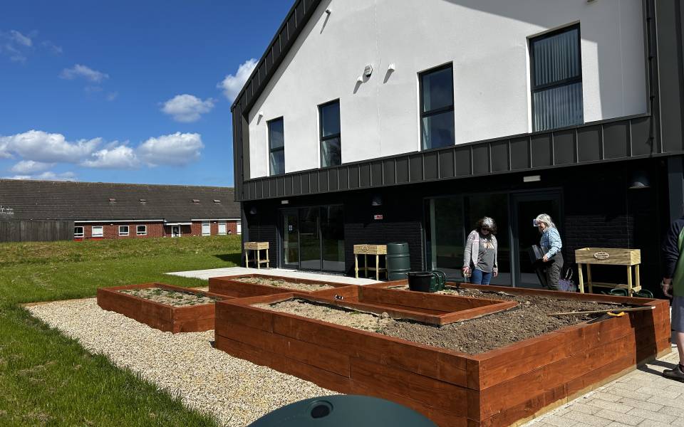 A community garden in the sunshine